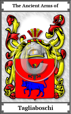 Tagliaboschi Family Crest Download (JPG)  Book Plated - 150 DPI