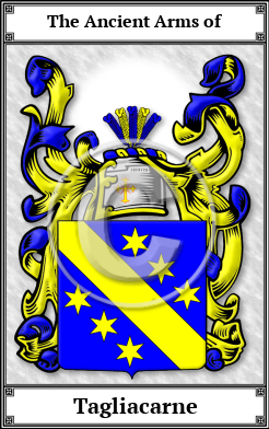 Tagliacarne Family Crest Download (JPG) Book Plated - 600 DPI