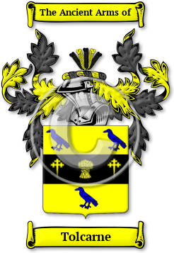 Tolcarne Family Crest Download (jpg) Legacy Series - 150 DPI