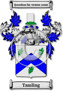 Tamling Family Crest Download (JPG) Legacy Series - 600 DPI
