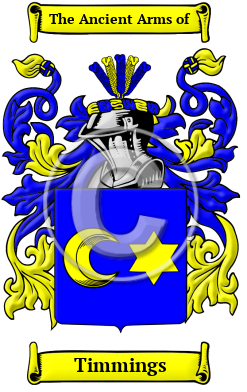 Timmings Family Crest Download (JPG) Heritage Series - 600 DPI