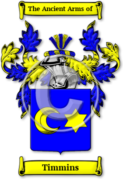 Timmins Family Crest Download (JPG) Legacy Series - 600 DPI