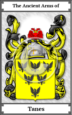 Tanes Family Crest Download (JPG)  Book Plated - 150 DPI