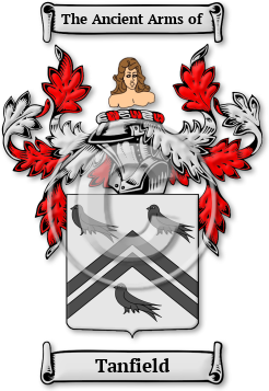 Tanfield Family Crest Download (jpg) Legacy Series - 150 DPI