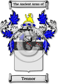Tennor Family Crest Download (jpg) Legacy Series - 150 DPI