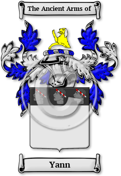 Yann Family Crest Download (JPG) Legacy Series - 300 DPI