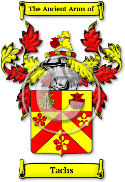 Tachs Family Crest Download (jpg) Legacy Series - 150 DPI