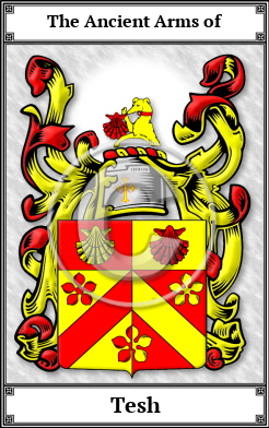 Tesh Family Crest Download (JPG)  Book Plated - 150 DPI