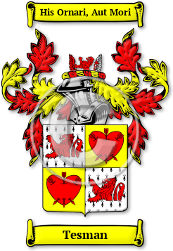 Tesman Family Crest Download (jpg) Legacy Series - 150 DPI