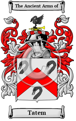 Tatem Family Crest/Coat of Arms