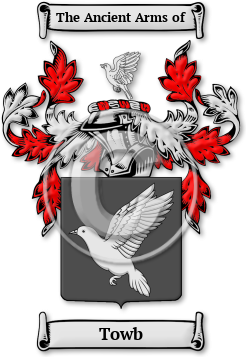 Towb Family Crest Download (jpg) Legacy Series - 150 DPI