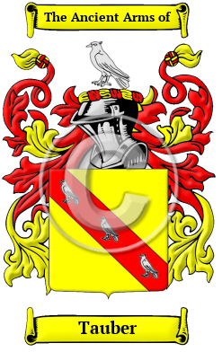 Tauber Family Crest Download (JPG) Heritage Series - 600 DPI