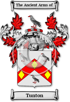 Tunton Family Crest Download (jpg) Legacy Series - 150 DPI