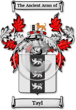 Tayl Family Crest Download (JPG) Legacy Series - 600 DPI