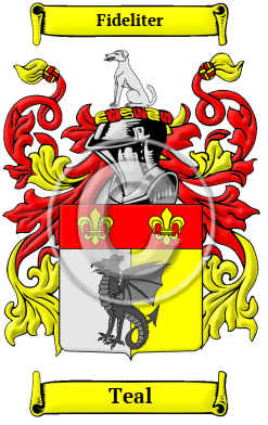 Teal Family Crest Download (JPG) Heritage Series - 600 DPI