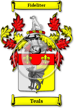 Teals Family Crest Download (jpg) Legacy Series - 150 DPI