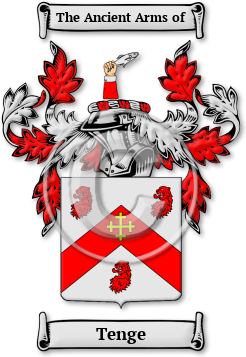 Tenge Family Crest Download (jpg) Legacy Series - 150 DPI