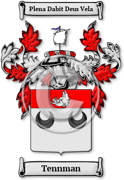 Tennman Family Crest Download (jpg) Legacy Series - 150 DPI