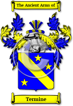 Termine Family Crest Download (JPG) Legacy Series - 600 DPI