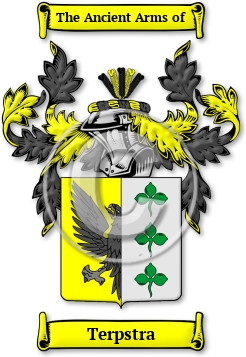 Terpstra Family Crest Download (jpg) Legacy Series - 150 DPI