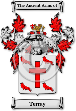 Terray Family Crest Download (jpg) Legacy Series - 150 DPI