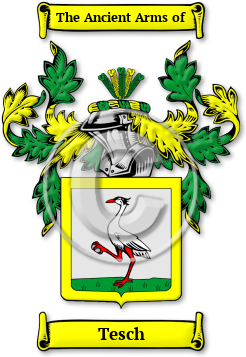 Tesch Family Crest Download (jpg) Legacy Series - 150 DPI