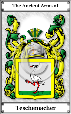 Teschemacher Family Crest Download (JPG)  Book Plated - 150 DPI