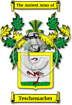 Teschemacher Family Crest Download (jpg) Legacy Series - 150 DPI