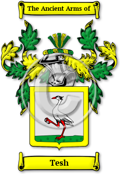 Tesh Family Crest Download (jpg) Legacy Series - 150 DPI