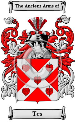 Tes Family Crest/Coat of Arms