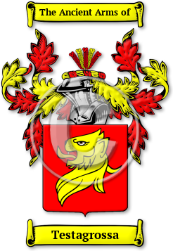Testagrossa Family Crest Download (jpg) Legacy Series - 150 DPI