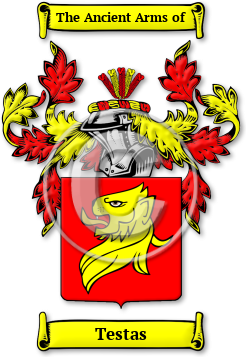 Testas Family Crest Download (JPG) Legacy Series - 600 DPI