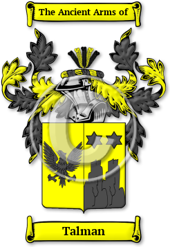 Talman Family Crest Download (jpg) Legacy Series - 150 DPI