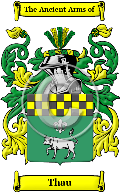 Thau Family Crest/Coat of Arms