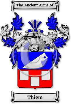 Thiem Family Crest Download (JPG) Legacy Series - 600 DPI