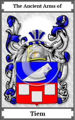 Tiem Family Crest Download (JPG) Book Plated - 300 DPI