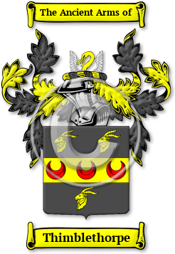 Thimblethorpe Family Crest Download (jpg) Legacy Series - 150 DPI
