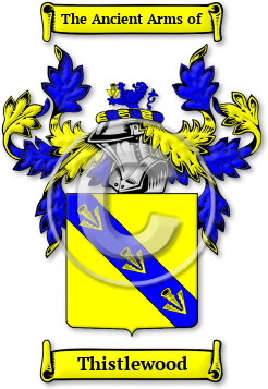 Thistlewood Family Crest Download (jpg) Legacy Series - 150 DPI