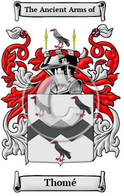 Thomé Family Crest/Coat of Arms