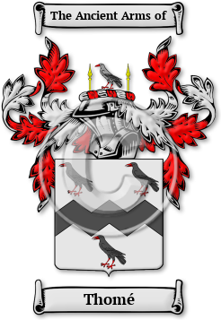 Thomé Family Crest Download (JPG) Legacy Series - 600 DPI