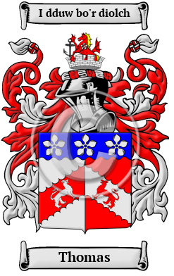 Thomas Meaning, Family History, Crest & Coats Arms, Welsh-Alt