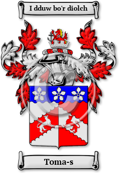 Toma-s Family Crest Download (jpg) Legacy Series - 150 DPI