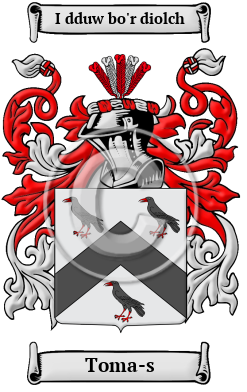 Toma-s Family Crest Download (JPG) Heritage Series - 300 DPI