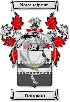 Tompson Family Crest Download (JPG) Legacy Series - 600 DPI