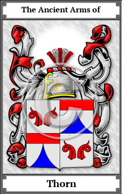 Thorn Family Crest Download (JPG)  Book Plated - 150 DPI