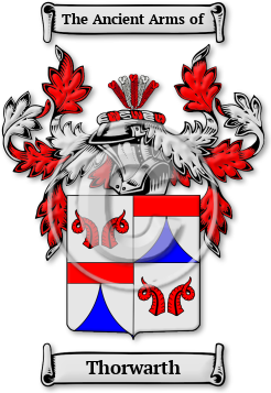 Thorwarth Family Crest Download (JPG) Legacy Series - 600 DPI