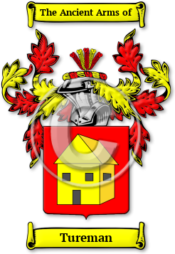 Tureman Family Crest Download (jpg) Legacy Series - 150 DPI