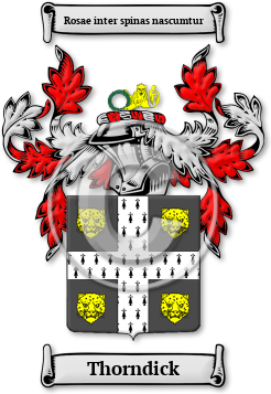 Thorndick Family Crest Download (jpg) Legacy Series - 150 DPI