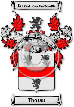 Thoran Family Crest Download (jpg) Legacy Series - 150 DPI