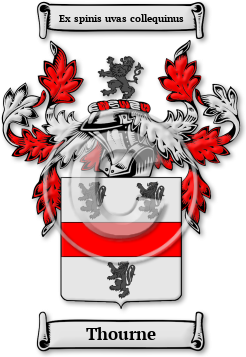 Thourne Family Crest Download (jpg) Legacy Series - 150 DPI